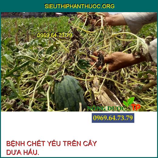 BỆNH CHẾT YỂU