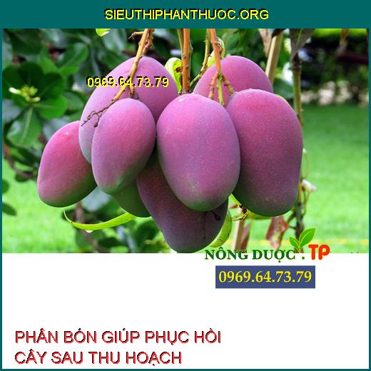 PHỤC HỒI CÂY SAU THU HOẠCH