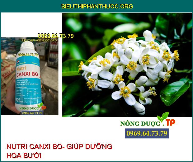 NUTRI CANXI BO- Chống Nứt Trái- Mập Đọt- Cứng Cây- Chống Rụng Trái Non