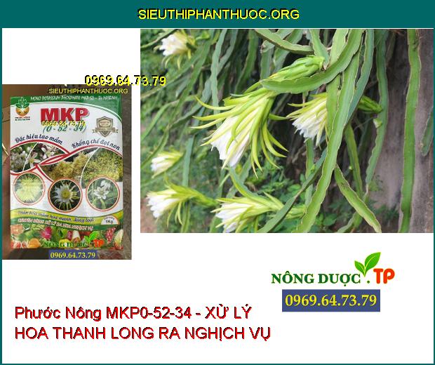 Phước Nông MKP0-52-34 Tạo Nhiều Mầm Hoa-Ra Hoa Nghịch Vụ-Lá Nhanh Già-Trổ Hoa Đều