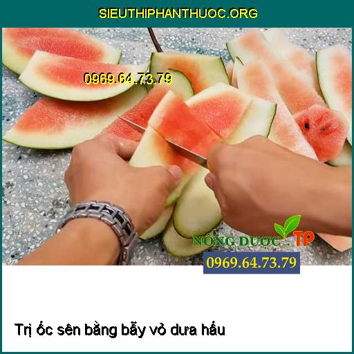 Hướng dẫn cách diệt trừ Ốc Sên cực đơn giản hiệu quả cho cây trồng