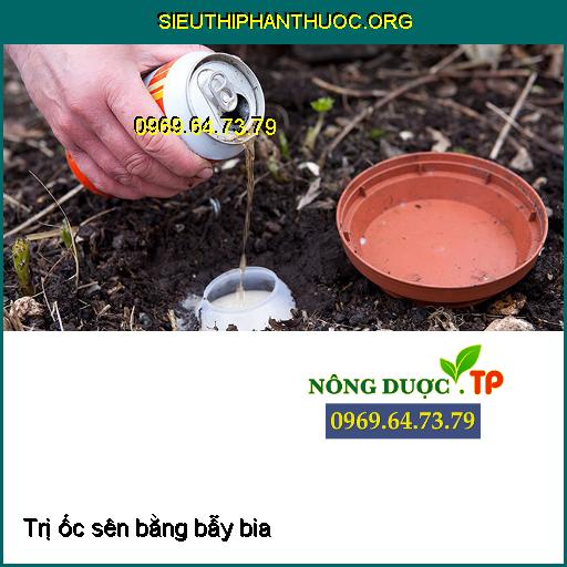 Hướng dẫn cách diệt trừ Ốc Sên cực đơn giản hiệu quả cho cây trồng