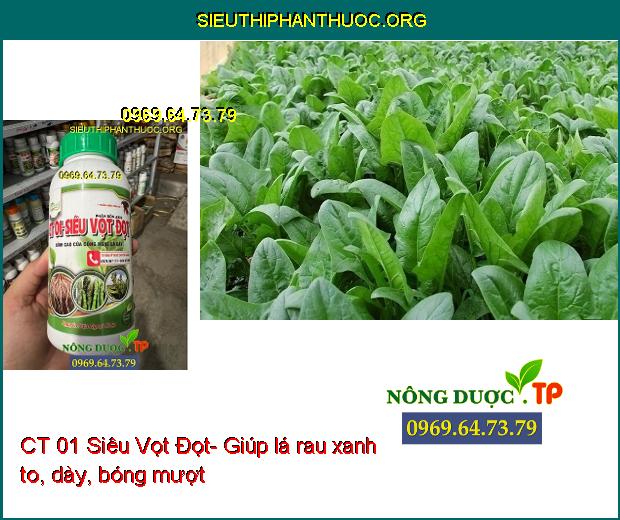 CT 01 Siêu Vọt Đọt- Siêu Đâm Chồi-Đẻ Nhánh-Kích Thích Cây Con Phát Triển Mạnh.