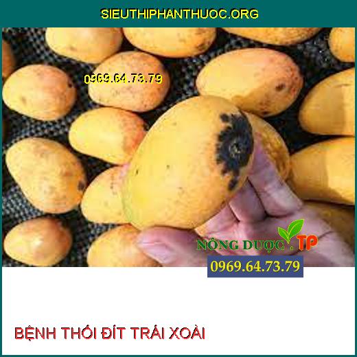 BỆNH THỐI ĐÍT TRÁI