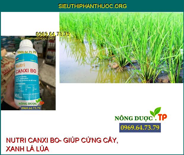 NUTRI CANXI BO- Chống Nứt Trái- Mập Đọt- Cứng Cây- Chống Rụng Trái Non