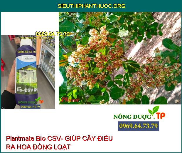 Plantmate Bio CSV- Đâm Chồi- Bung Đọt- Ra Hoa Đồng Loạt- Nuôi Quả.