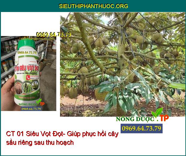 CT 01 Siêu Vọt Đọt- Siêu Đâm Chồi-Đẻ Nhánh-Kích Thích Cây Con Phát Triển Mạnh.