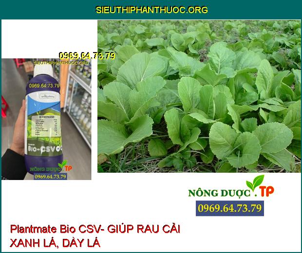 Plantmate Bio CSV- Đâm Chồi- Bung Đọt- Ra Hoa Đồng Loạt- Nuôi Quả.