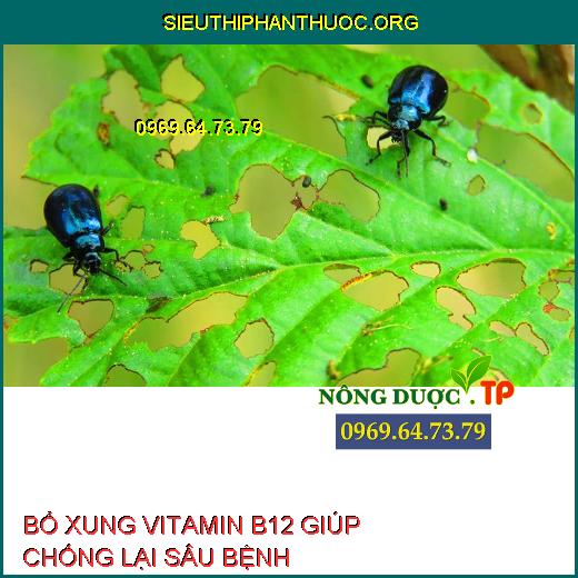 Vitamin B12