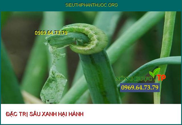 Top 3 Thuốc diệt trừ sâu hành .