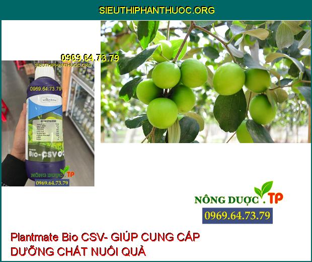 Plantmate Bio CSV- Đâm Chồi- Bung Đọt- Ra Hoa Đồng Loạt- Nuôi Quả.