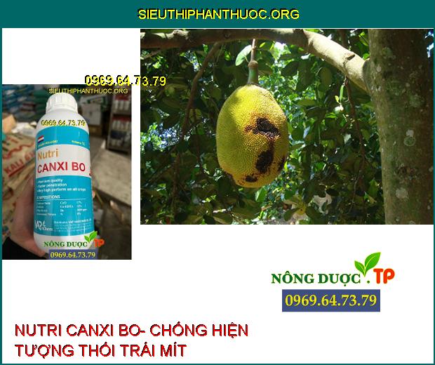 NUTRI CANXI BO- Chống Nứt Trái- Mập Đọt- Cứng Cây- Chống Rụng Trái Non