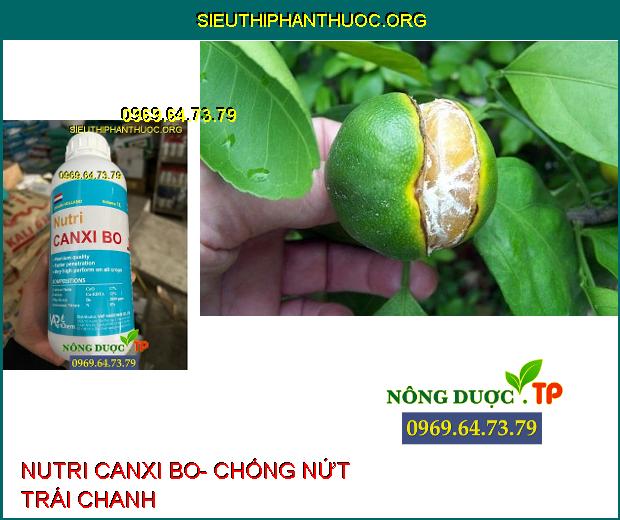 NUTRI CANXI BO- Chống Nứt Trái- Mập Đọt- Cứng Cây- Chống Rụng Trái Non