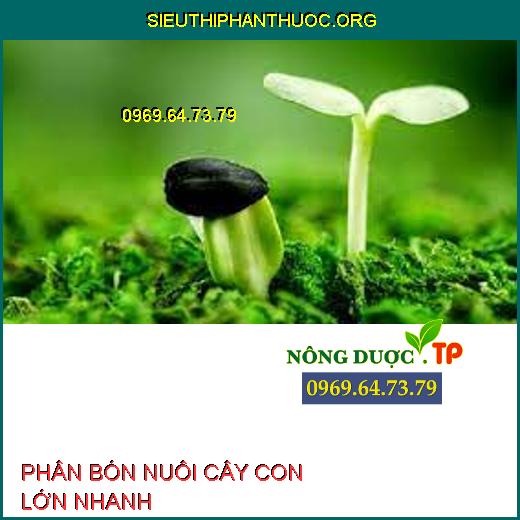 PHÂN BÓN NUÔI CÂY CON LỚN NHANH