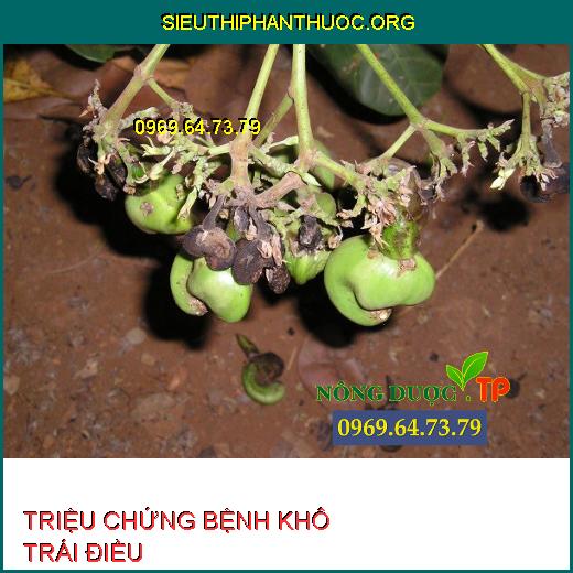 BỆNH KHÔ TRÁI