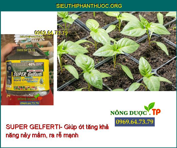 SUPER GELFERTI- Tăng Nảy Mầm- Ra Rễ Mạnh- Vọt Đọt- Ra Hoa- Tăng Đậu Trái.