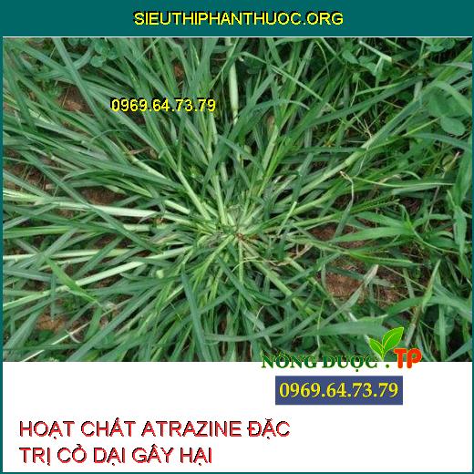 HOẠT CHẤT ATRAZINE