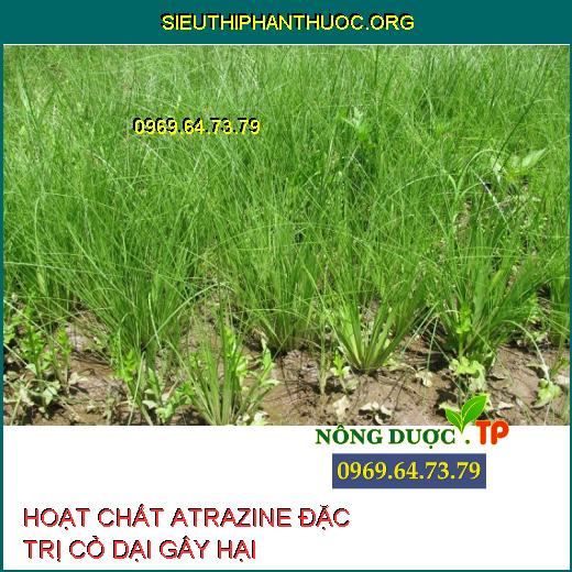 HOẠT CHẤT ATRAZINE