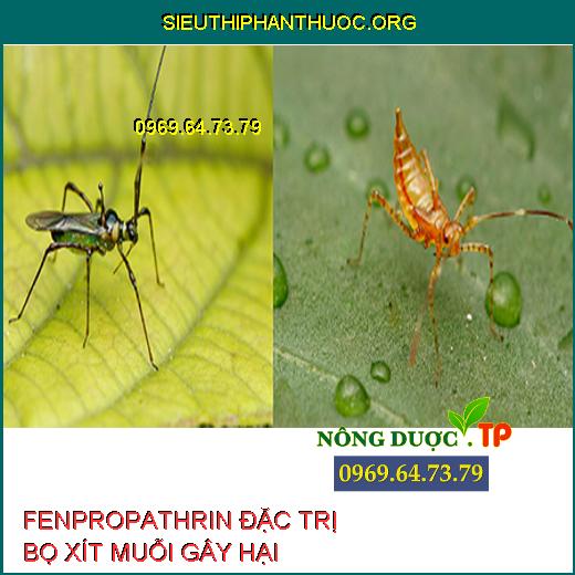 HOẠT CHẤT FENPROPATHRIN