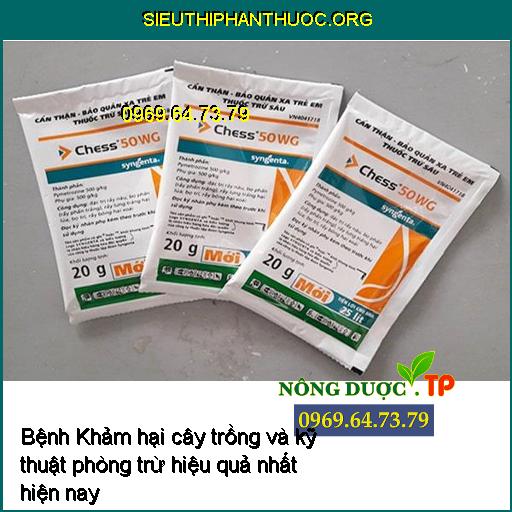 Bệnh Khảm hại cây trồng và kỹ thuật phòng trừ hiệu quả nhất hiện nay