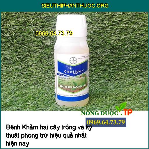 Bệnh Khảm hại cây trồng và kỹ thuật phòng trừ hiệu quả nhất hiện nay