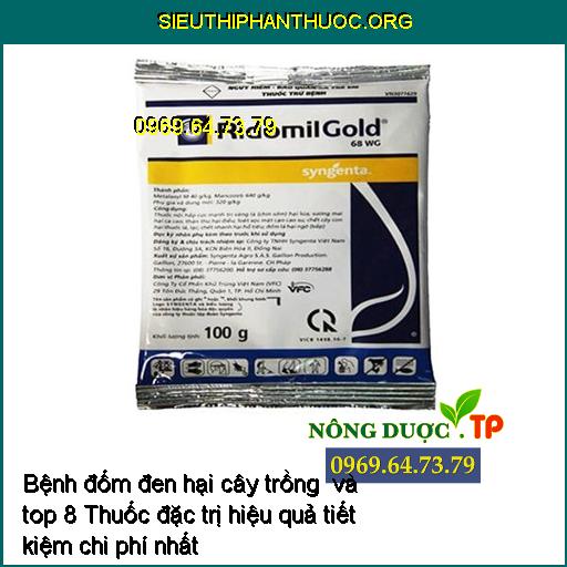 Bệnh đốm đen hại cây trồng và top 8 Thuốc đặc trị hiệu quả tiết kiệm chi phí nhất