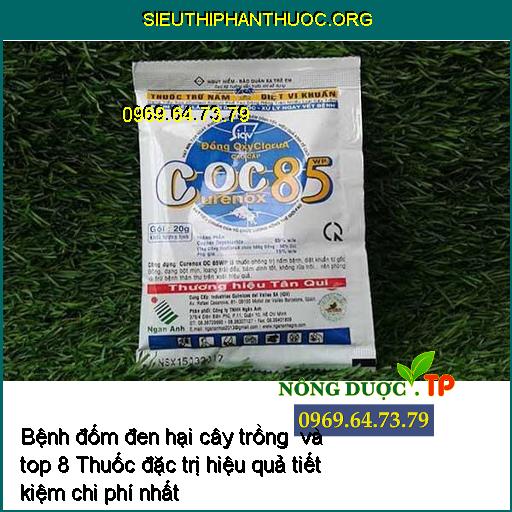 Bệnh đốm đen hại cây trồng và top 8 Thuốc đặc trị hiệu quả tiết kiệm chi phí nhất