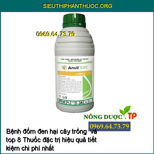 Bệnh đốm đen hại cây trồng và top 8 Thuốc đặc trị hiệu quả tiết kiệm chi phí nhất