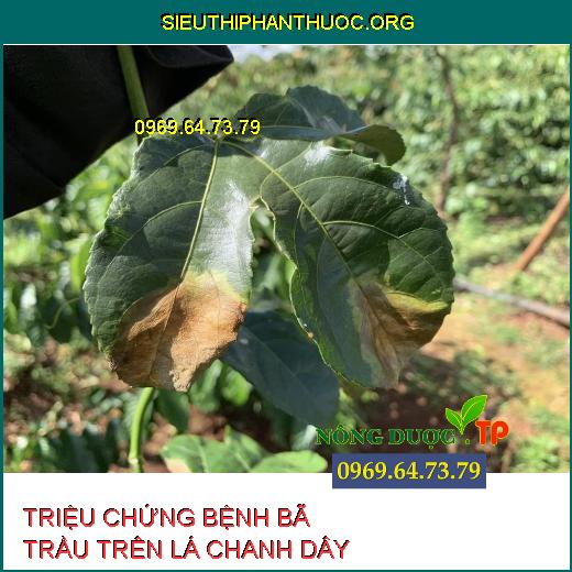 BÃ TRẦU