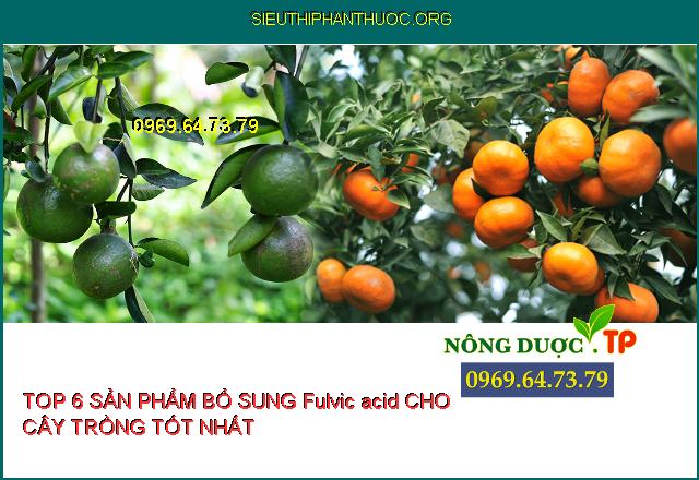 Top 6 Phân bón cung cấp Fulvic acid cho cây trồng P.1