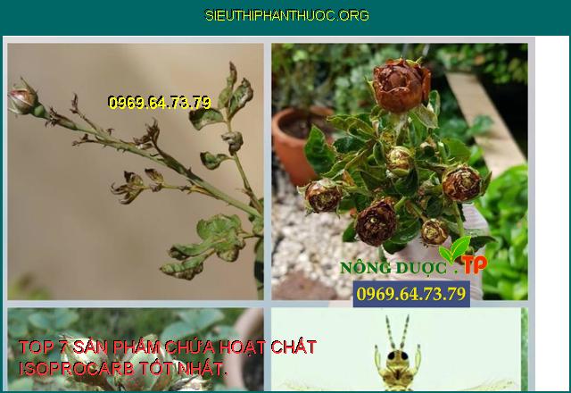 HOẠT CHẤT ISOPROCARB