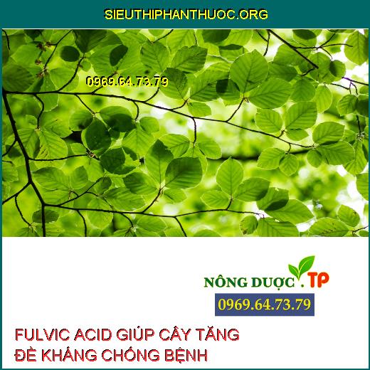 FULVIC ACID