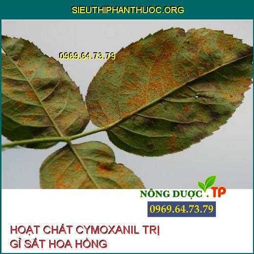 HOẠT CHẤT CYMOXANIL