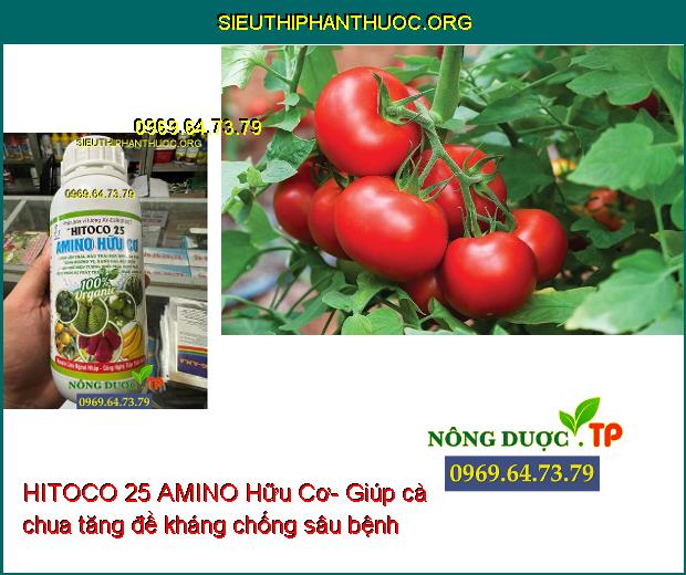 HITOCO 25 AMINO Hữu Cơ- Lớn Trái- Màu Trái Đẹp- Tăng Hương Vị- Ngăn Rụng Trái.