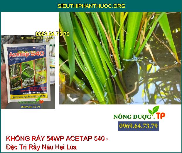 KHÔNG RẦY 54WP ACETAP 540- Đặc Trị Rầy Lúa- Rệp Sáp- Bọ Trĩ- Ruồi Vàng.