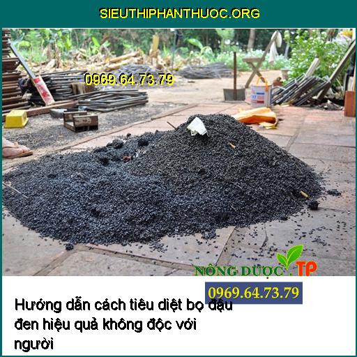 Hướng dẫn cách tiêu diệt bọ đậu đen hiệu quả không độc với người