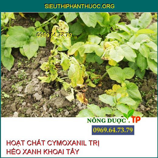 HOẠT CHẤT CYMOXANIL