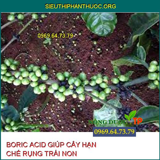 BORIC ACID