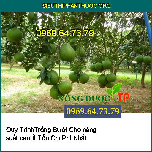 Quy TrinhTrong Buoi Cho nang suat cao It Ton Chi Phi Nhat_1___sieuthiphanthuoc.org_