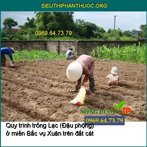 Cách chăm sóc cây lạc