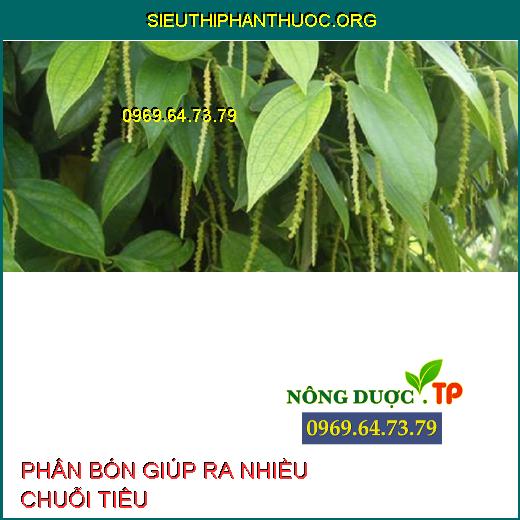 Top 6 Phân bón giúp cây ra chuỗi tiêu (như cây tiêu) P.1 - SIÊU THỊ ...