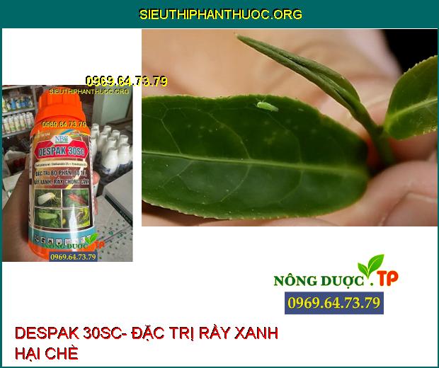 DESPAK 30SC- Đặc Trị Bọ Phấn- Bọ Trĩ- Rầy Xanh- Rầy Chổng Cánh.