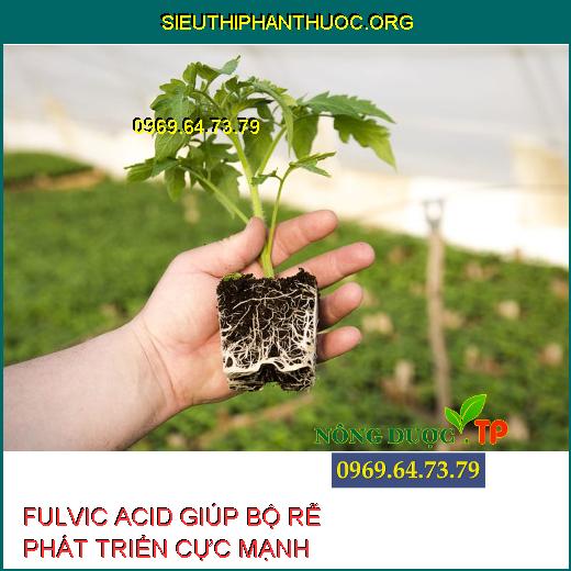 FULVIC ACID