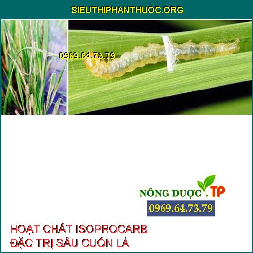 HOẠT CHẤT ISOPROCARB