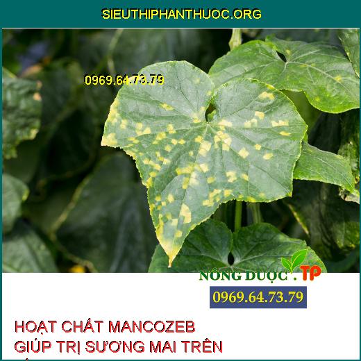 HOẠT CHẤT MANCOZEB