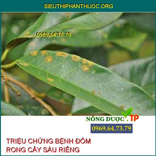 BỆNH ĐỐM RONG