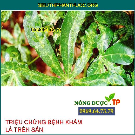 BỆNH KHẢM LÁ