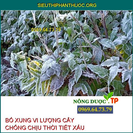 VI LƯỢNG