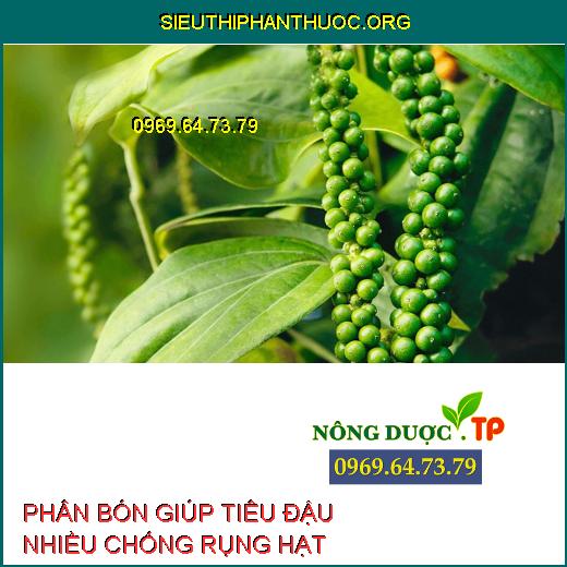 CHỐNG RỤNG HẠT