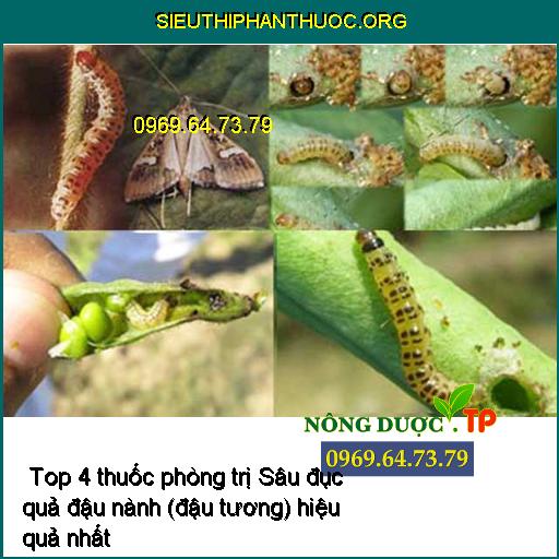  Top 4 thuốc phòng trị Sâu đục quả đậu nành (đậu tương) hiệu quả nhất